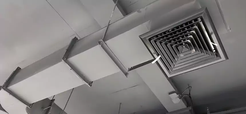 Restorative Allergy Relief Vent Cleaning – Coil, Blower & Housing Detail in Tullahoma