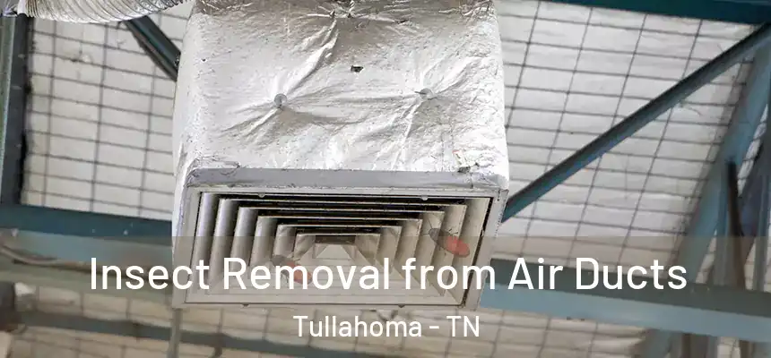  Insect Removal from Air Ducts Tullahoma - TN