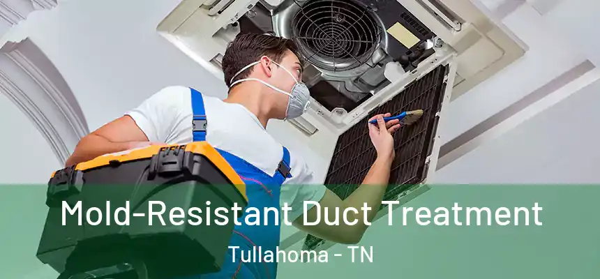  Mold-Resistant Duct Treatment Tullahoma - TN