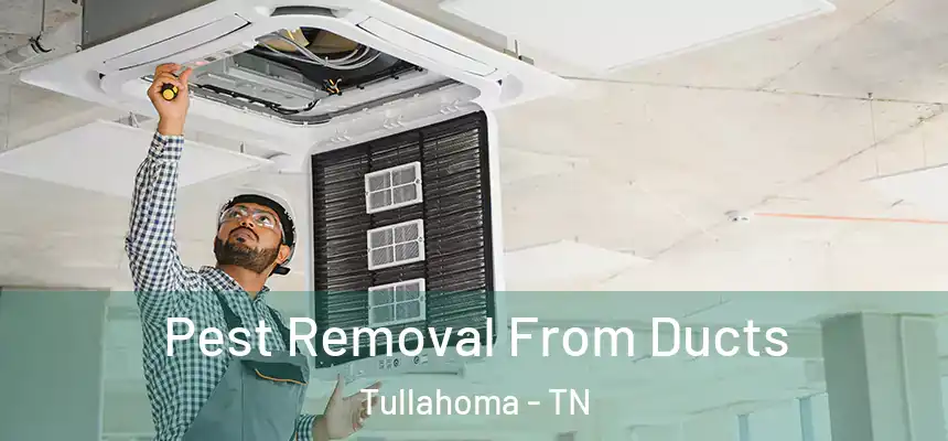  Pest Removal From Ducts Tullahoma - TN