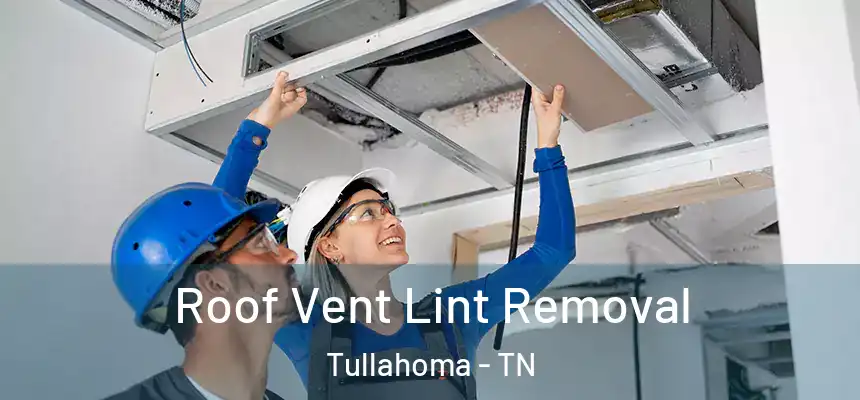  Roof Vent Lint Removal Tullahoma - TN