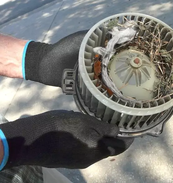 About Air Duct Rat Removal in Tullahoma, TN