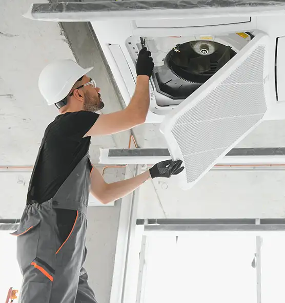 About Air Duct Rodent Removal in Tullahoma, TN