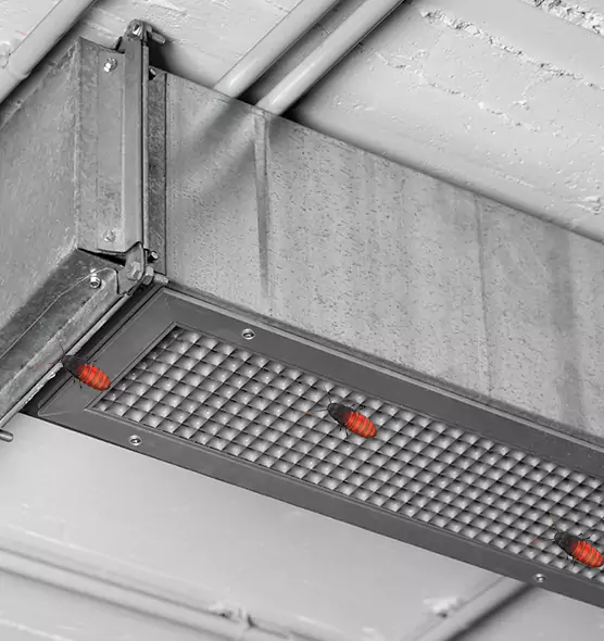 Affordable Insect Removal from Air Ducts in Tullahoma, TN